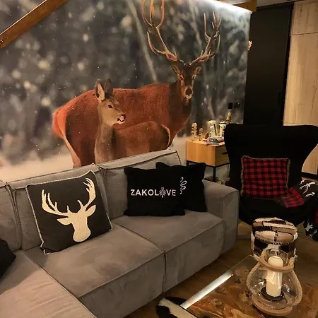 Apartmán Zakolove Pod Skocznia - Sauna , Jaccuzi , Piekny Taras Zakopane
