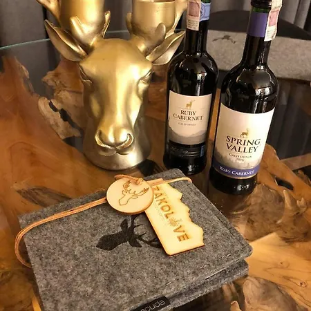 Zakolove Pod Skocznia - Sauna , Jaccuzi , Piekny Taras *